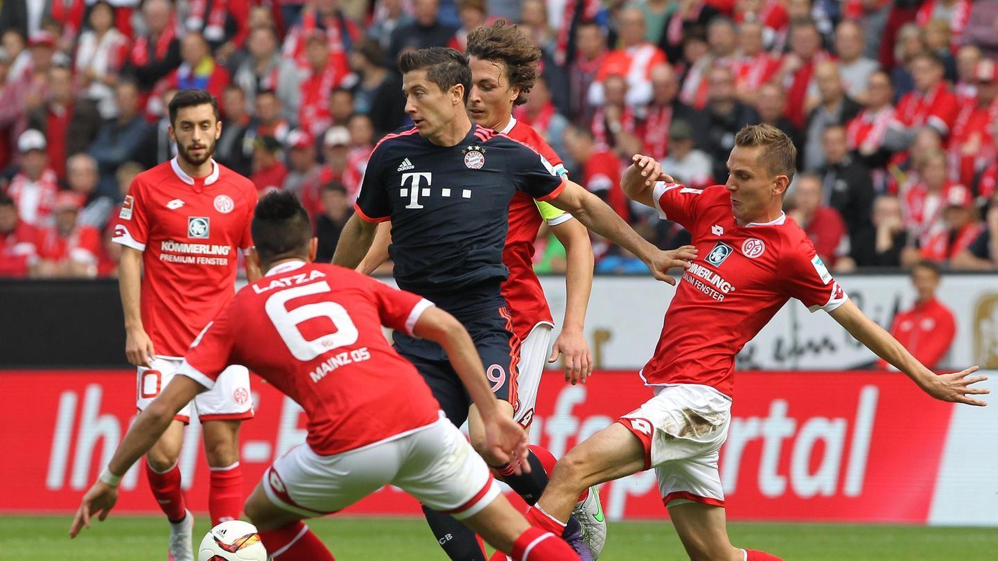 浙江队可能 浙江队可能