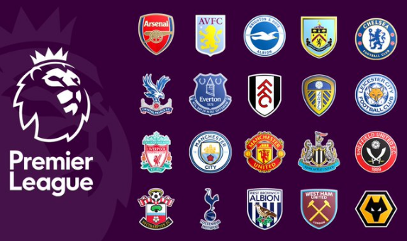 的侧翼突分 的侧翼突分