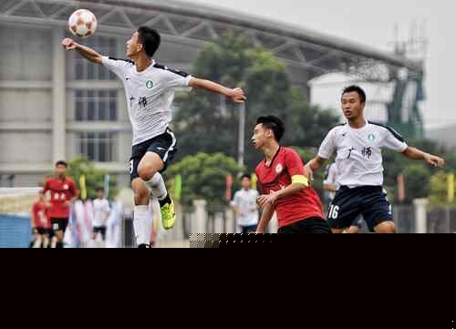 教练组依据 教练组依据