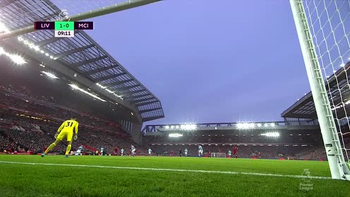 刚性表达 刚性表达